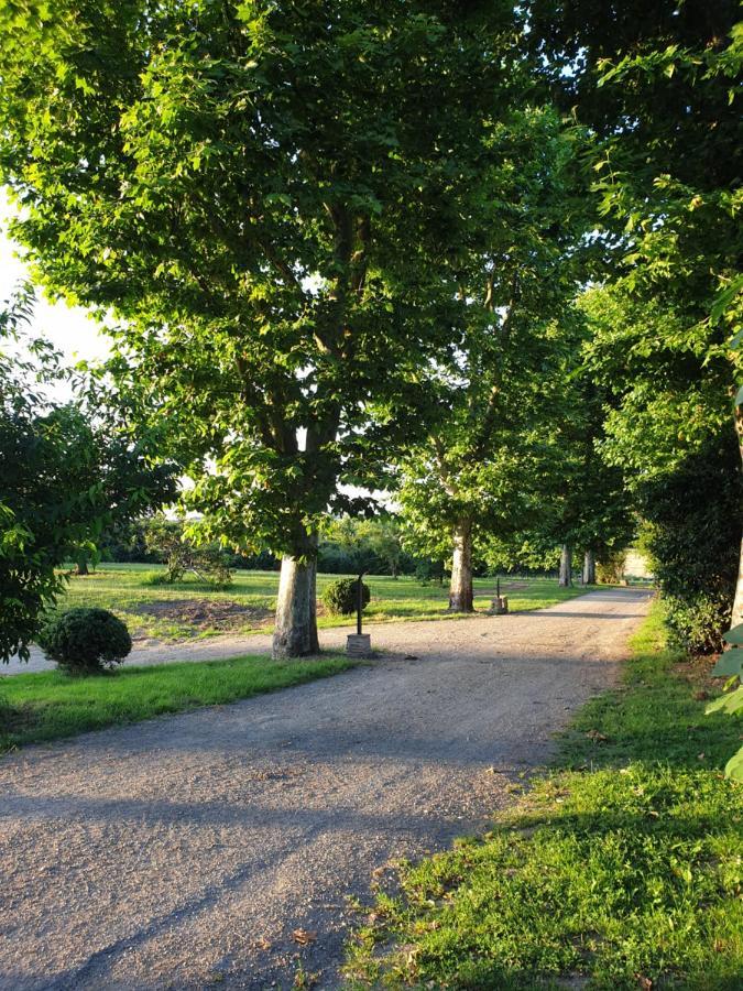 Domaine Des Jammetous - Hotel And Yoga Retreat Center La Magdelaine-Sur-Tarn 外观 照片